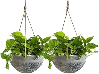 Hanging Planter Flower Plant Pots - 10 Inch Indoor Outdoor Balcony Patio Hanging