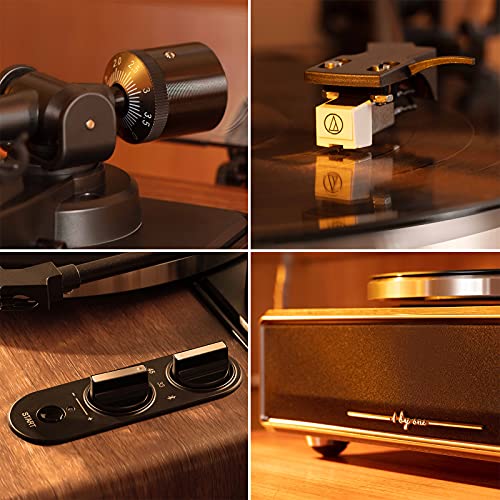 1 BY ONE Plattenspieler mit Integrierten Lautsprechern Bluetooth 33/45 U/min Riemenantrieb MM Vinyl...