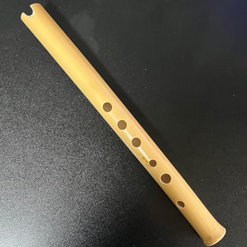 P[iiQUENA) AfX̖y B 2wE4wg 肪E ǐKJ Ό搶ɂ{rA | | cJ B؋ qtm-b24001