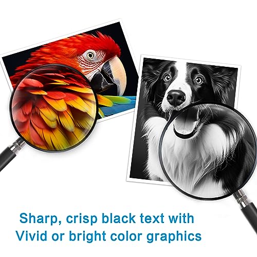 Image of 67XL Ink Black and Color Combo Pack Ink Cartridges Compatible for HP Ink 67