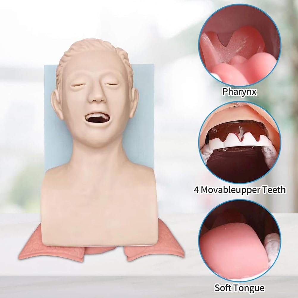 Modello di allenamento per intubazione tracheale, simulatore elettronico anatomico per adulti con allarme di pressione per la gestione delle vie aeree orofaringee