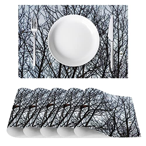 Sets de table perroquet en lot de 6, design exclusif résistant à la chaleur - 3