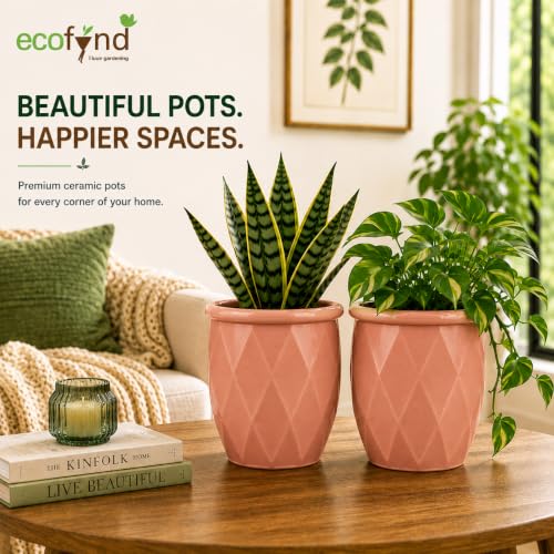 Image of ecofynd 4 Inch Ceramic Plant Pots with Drainage Hole, Modern Decorative Clay Flower Pots for Indoor Plants, Home Garden Decor for Living Room, Bedroom & Interior Spaces (Pack of 2, CPOT043-PNK)