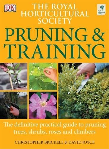RHS Pruning and Training by David Joyce (2006-05-04)