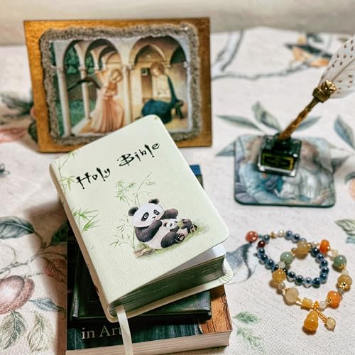 what-bible-to-baptists-use-the-witness