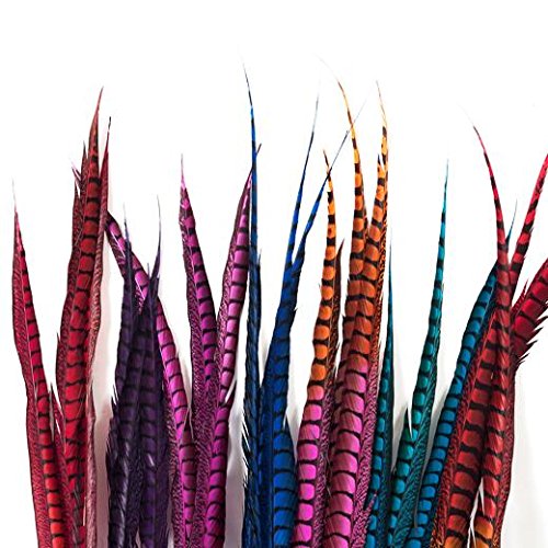 Schuman Feathers, Lady Amherst Pheasant, 30-36 inches Long, Dyed Over Natural, Feathers for, Carnival, Dance, Wholesale, per 2 Feathers (Red)