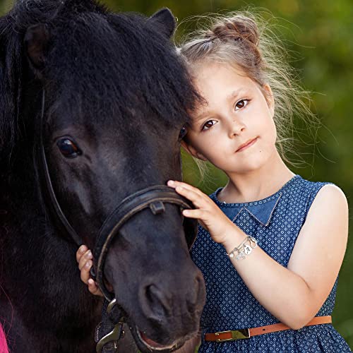 La Mejor comparativa de Caballos miniatura - cinco favoritos. 25 Imagen adicional