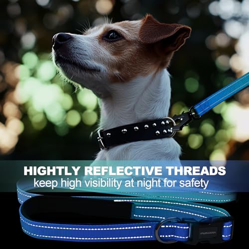 Strapazierfähige, freihändige Hundeleine mit Schnellverschluss-Karabiner und verstellbarem Bungee-Hundeleine, für Spaziergänge und Training, mit Auto-Sicherheitsgurt, 1,2–1,8 m, Aquamarin