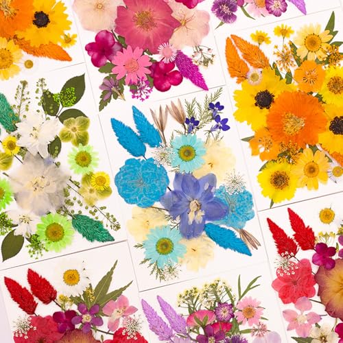 Flor natural seca prensada para resin artesanía miniatura 3