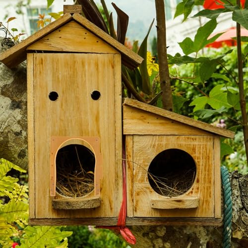 DEARMAMY 2 M?p[sAXhA Жʒʍs݌vh~ Ĕ[XZpϋvvX`bN