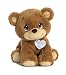 Aurora World Precious Moments Charlie Bear, So Beary Sweet, Brown, 12"
