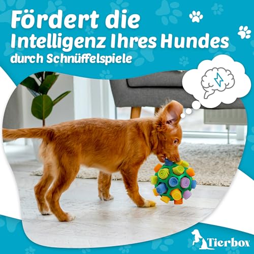 Tierbox Schnüffelball für Hunde Intelligenzspielzeug [für alle Hunde] Schnüffelspiele Hund | Kaktus Grün