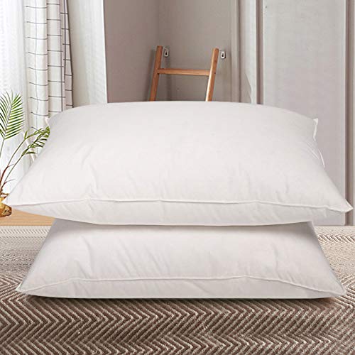 Buy Home Elements Set of 2, Soft White Goose Down and Feather Cotton