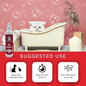 Warren London Cat Dry Shampoo | No Rinse Shampoo Cat Cleaner with Neem Oil & Coconut | Kitty Shampoo On The Go | Made in USA