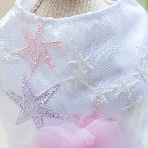 SMALLLEE_LUCKY_STORE Kleid für kleine Hunde, Hochzeitskleid, Brautjungfer, romantisches Tutu, für kleine Hunde, Chihuahua-Kleidung, Kostüme für Mädchen – Weiß, S