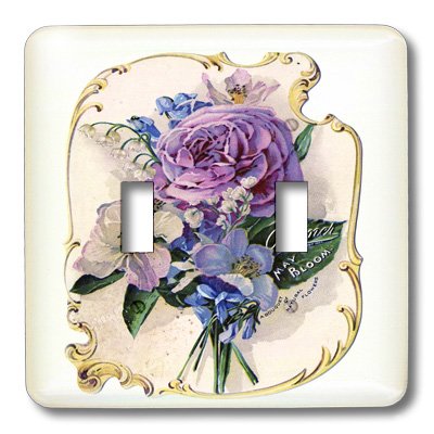 Interrupteur à bascule double 3dRose Lsp_40781_2 commande murale double circuit encastrable