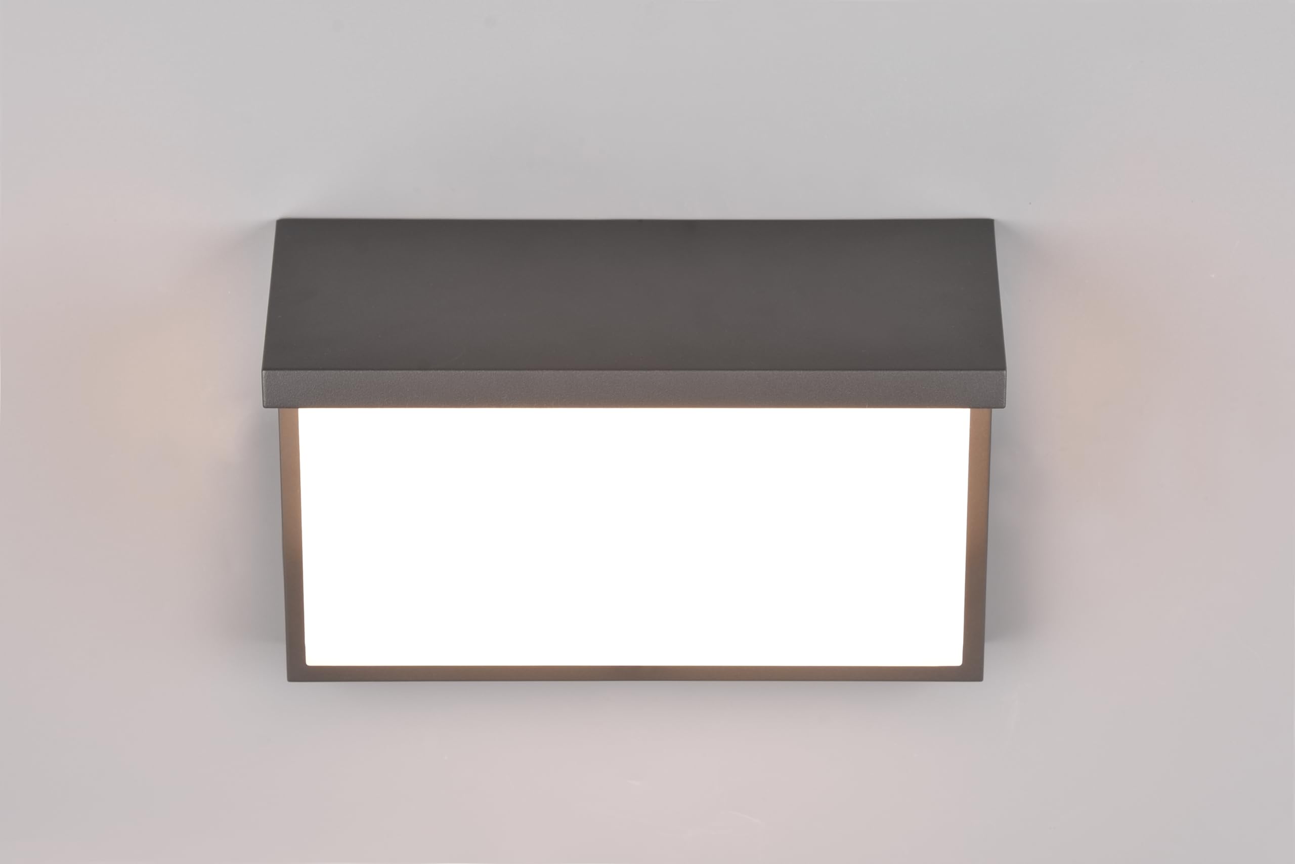 Trio Leuchten LED Außen Wandleuchte Nestos 240960142, Aluminium Druckguss Anthrazit, Schirm Kunststoff Weiß, inkl. 13 Watt LED |
