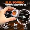 Air Jungles Eleu Pomelo Scent Car Air Freshener Clip, 6 Vent Clips, 4 ml Each, Long Lasting Air Freshener, Up to 180 Days Car Refresher Odor Eliminator #1