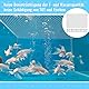 F Fityle Aquarium Siebnetz, Anti Sprungnetz Aquarium, Transparente Aquarium Deckel Ersatz, Aquarium Screen Net, Aquarium Bildschirm Top Abdeckung, Anti Jumping Mesh für Aquarium Unten Box, 80x106cm
