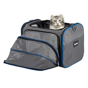 Soft Sided Cat Carrier for Small Medium Cats and Puppy up to 15lbs,Airline Approved Cat Carrier,Expandable Cat Travel Bag