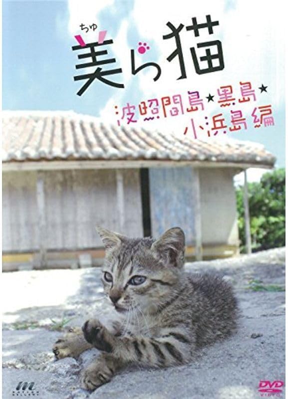 アトリエpuchuco 猫 シルバー からくり仕掛け Highlights by アトリエ