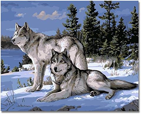 DIY Oil Painting on Canvas Paint by Number Kit for Adult - Animal Wolf -16x20 Inches Without Frame