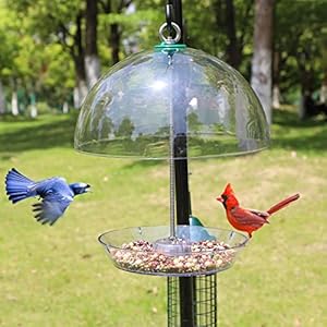 Rotating Dome Platform Bird Feeder Adjustable Bird feeders for Outside Hanging Tray with Drainage Holes Can Be Filled with Mealworms Seeds and Fruits Attract Bluebirds Cardinals