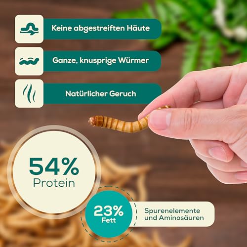 Mehlwürmer getrocknet 500g Premium Hühnerfutter Insekten Vogelfutter Wildvögel ganzjährig Igelfutter Vögel, Fische, Schildkröten, Nager, Igel, Reptilien, Eichhörnchen Futter Hamsterfutter (3,25L)