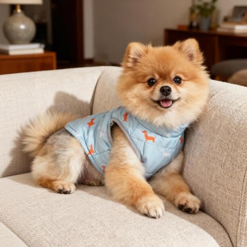Asmea Hundemantel Winter Hundejacke Warme Hundemantel für Kleine Hunde Winddichte Hundeweste mit Geschirr Loch Schwach Wasserdicht Weihnachten Hundejacke für Chihuahua Dackel Grau Blau XXS