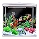 Molyorch Künstliche Aquariumpflanzen, Aquarium Pflanzen Künstlich Harz Koralle, Aquarium Dekoration Mit Harz Koralle, für Fischbecken, Aquarien, Landschaftsdekoration