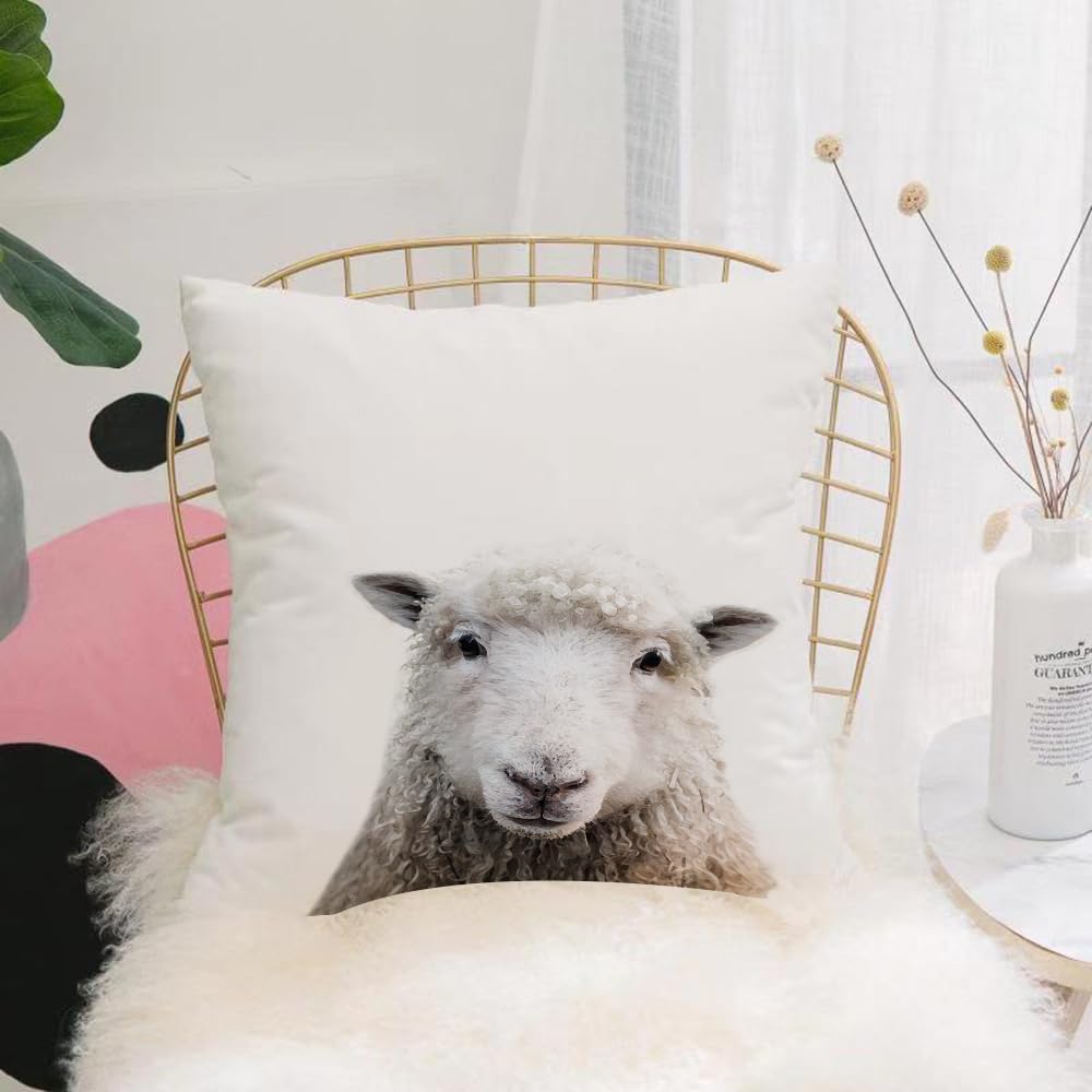 HYMSXW Cushion Cover,Throw Pillow Case Home Decorative for Living Room Bedroom Sofa Chair 20X20 Inch,Close up of Long haired Sheep，Portrait of a fluffy sheep on a white background，,Pillowcase 50X50cm