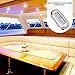 Naysku 4 LED Marine Courtesy Lights, Boat LED Night Fishing Lights, LED Boat Lights 12v, 3LED Stainless Steel Frame, Light Navigation Transom Stern Cabin Lighting (4 Color)