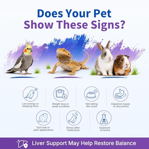 Milk Thistle for Birds, Tortoises & Rabbits – Natural Liver Support Supplement, Supports Detox & Healthy Liver Function - Image 2
