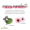 Pukka Organic Tea Bags, Elderberry & Echinacea Herbal Tea, Perfect for Wellness Support, 20 Count (Pack of 3) 60 Tea Bags