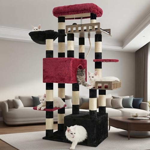 Gitelsnour Griffoir Maine Coon pour chats 20 lbs+