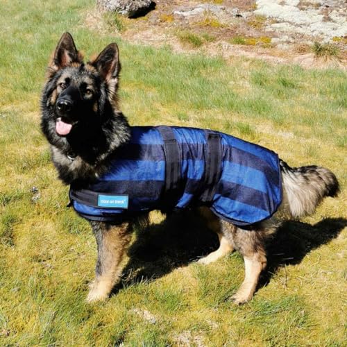 Dog Copenhagen Back-on-Track Erfrischender Anti-UV-Kälzmantel für Hunde, 50 cm, Blau