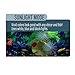 Glofish Four Mode Cycle Light for Interactive Aquariums