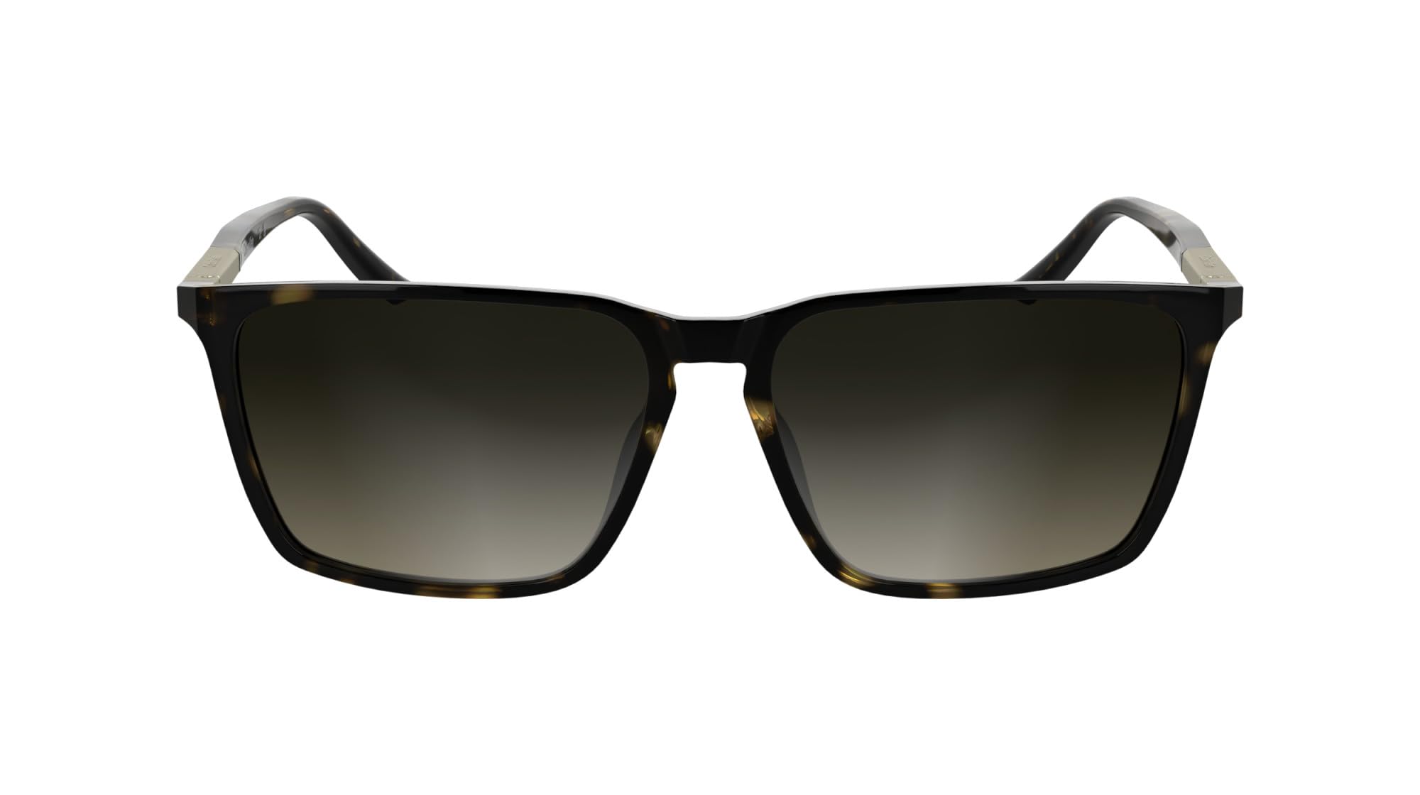 Calvin Klein Men's Sunglasses CK25505S - Havana with Gradient Brown Lens