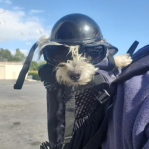 Taicols Casco per animali domestici, antivento