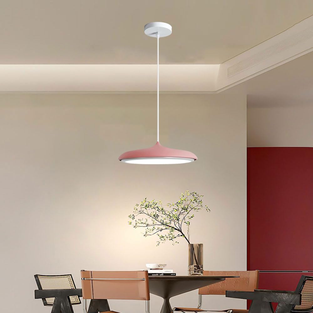 Lampada a Sospensione in Ferro Rosa con Sorgente Luminosa a LED.