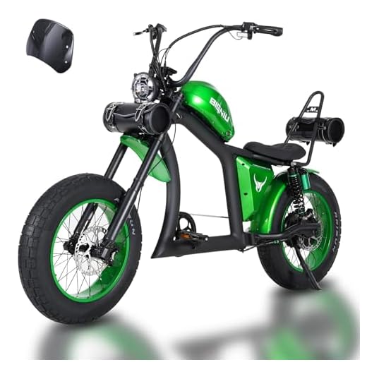 Adult Electric Bike, 1500W Brushless Motor 52V/27Ah Range Up to 38 Miles E Bike Front Rear Turn Signals Dual Suspension Electric Bike BG-X PRO Whit Saddle Bags & Racks(Green)