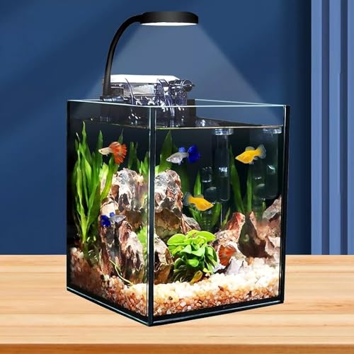 Filtro de ciclo 4L pequeno aquário de vidro para decoração de quarto de escritório, mini aquário, ul