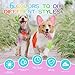 Pack of 6 Dog Hair Color Dye Temporary Non-Toxic Washable Pet Safe Paint for Dogs Cats Animals