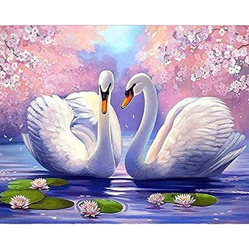 Amazon.co.jp: 5ddiy Diamond Painting Swan Playing in Water Love