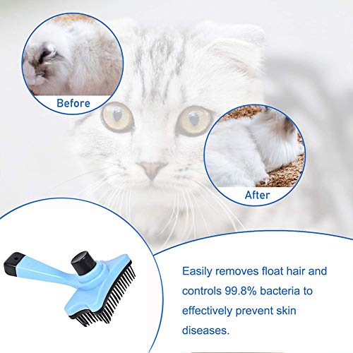 INTVN Spazzola Autopulente per Cani Gatti ，Sicuro