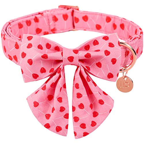 Valentine's Day Dog Collars