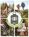 Sportneer Compass: Accurate Durable Lightweight Orienteering Compass with Strap and Carrying Case, Glow in The Dark Waterproof Hiking Essentials for Camping Backpacking, Best Survival Gifts for Kids