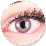 Glamlens Kontaktlinsen farbig violett Lila ohne Stärke - mit Kontaktlinsenbehälter. Sehr stark deckende natürliche Blau lila 1 Paa Monatslinsen weich Silikon Hydrogel