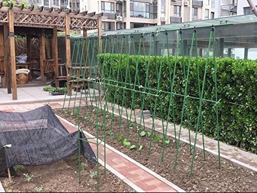 HYDDNice 50Pcs 4FT x 7/16\" Garden Stakes Plant Stakes Plant Cage Supports with 328FT Twist Ties for Sapling Tomato Cucumber Bean Climbing Plants Grow - Thumbnail 7