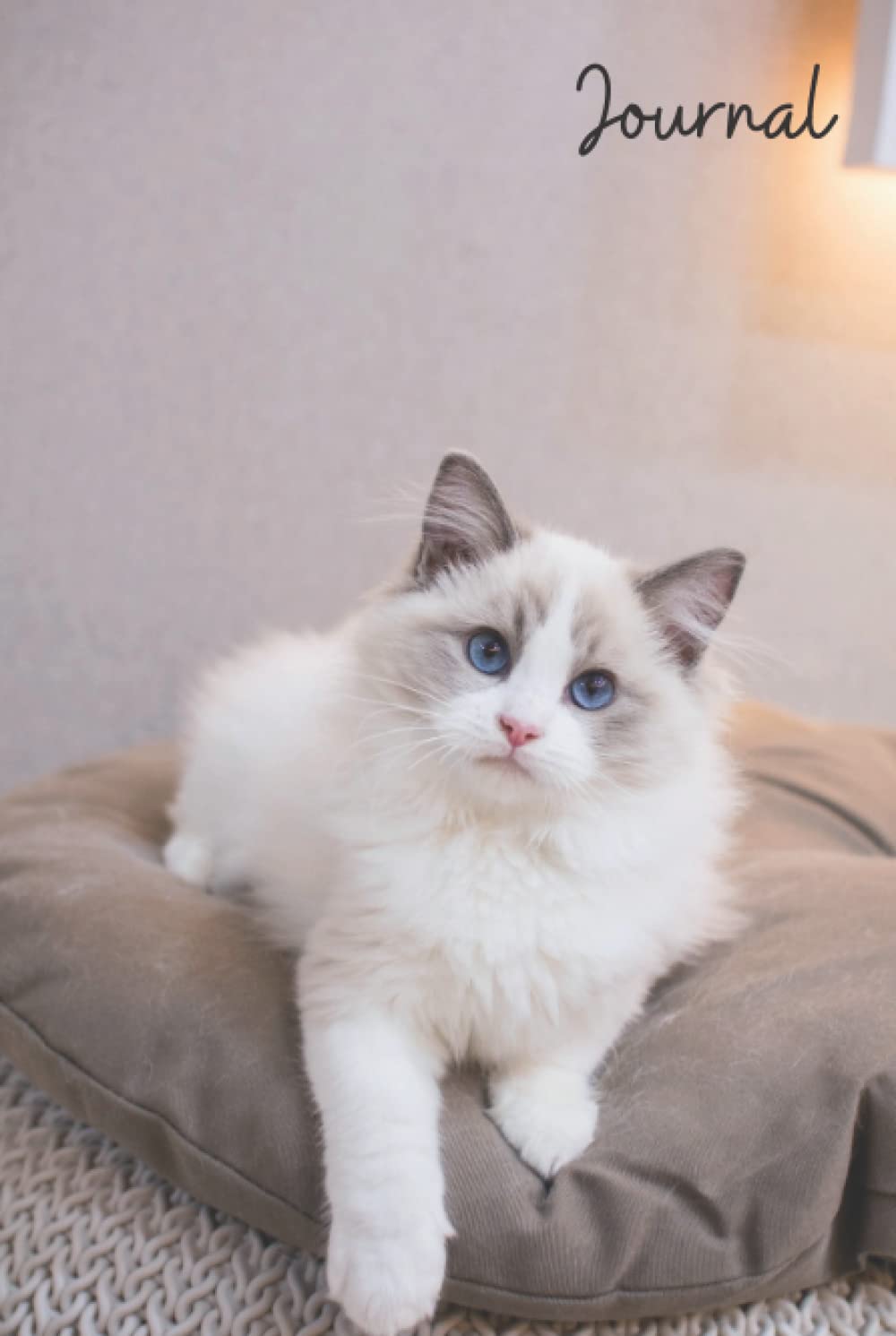 Ragdoll Cat Love Journal: Pet Lover's Blank Lined Gift Journal For Family & Friends